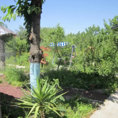 Отель Family Summer House On Cityline Армения, Ереван - отзывы, цены и фото номеров - забронировать отель Family Summer House On Cityline онлайн