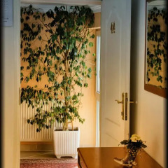 Hotel Vila Tina 3* Номер Делюкс с различными типами кроватей фото 24