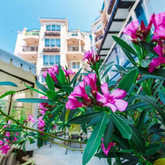 Romance Marine Hotel Солнечный берег балкон