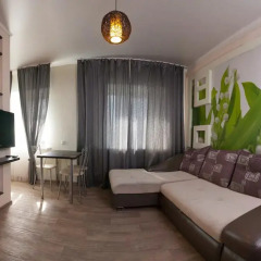 Гостиница Megapolis Apartments в Красноярске отзывы, цены и фото номеров - забронировать гостиницу Megapolis Apartments онлайн Красноярск комната для гостей фото 4