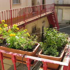 Отель Lisbon Nest балкон
