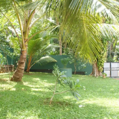 Отель Lanka Rose Guest House Шри-Ланка, Берувела - отзывы, цены и фото номеров - забронировать отель Lanka Rose Guest House онлайн фото 5
