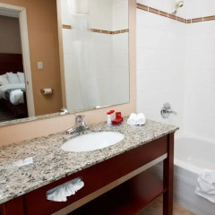 Отель Ramada by Wyndham Vancouver Downtown Канада, Ванкувер - отзывы, цены и фото номеров - забронировать отель Ramada by Wyndham Vancouver Downtown онлайн ванная