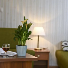 Отель Rajna VillaBridge & SPA Mini Hotel Венгрия, Силвашварад - отзывы, цены и фото номеров - забронировать отель Rajna VillaBridge & SPA Mini Hotel онлайн удобства в номере