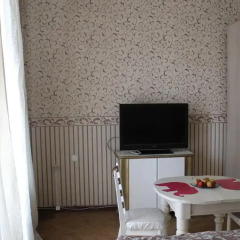 Апартаменты Apartment Vosstaniya 19 Санкт-Петербург комната для гостей фото 5