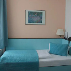 Hotel Smetana 4* Стандартный номер с различными типами кроватей