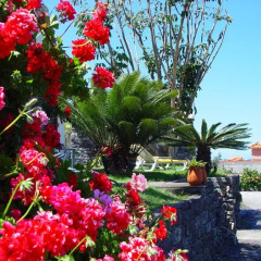 Отель Quinta da Vila фото 2