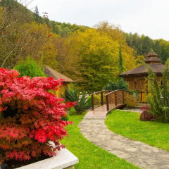 Гостиница Motel Natali Украина, Поляна - отзывы, цены и фото номеров - забронировать гостиницу Motel Natali онлайн фото 5