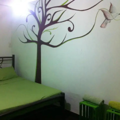 Отель Hostal Orquideas Мексика, Канкун - отзывы, цены и фото номеров - забронировать отель Hostal Orquideas онлайн комната для гостей фото 5