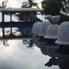 Отель Anantaya Resort and Spa Passikudah Шри-Ланка, Калкудах - отзывы, цены и фото номеров - забронировать отель Anantaya Resort and Spa Passikudah онлайн фото 5