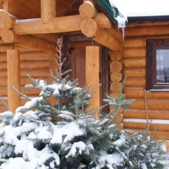 Izmailovsky Hotel