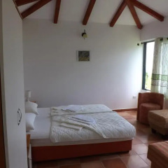 Отель Guesthouse Maslinjak 3* Стандартный номер с различными типами кроватей