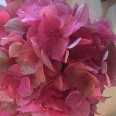 Отель Rose 170 Нидерланды, Амстердам - отзывы, цены и фото номеров - забронировать отель Rose 170 онлайн интерьер отеля