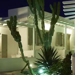 Отель Damianos Mykonos Hotel Греция, Миконос - отзывы, цены и фото номеров - забронировать отель Damianos Mykonos Hotel онлайн интерьер отеля фото 3