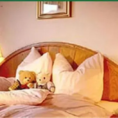 Hotel & Sport Mödlinger 3* Стандартный номер с различными типами кроватей