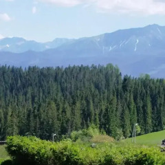 Отель Janosik Польша, Закопане - отзывы, цены и фото номеров - забронировать отель Janosik онлайн фото 7