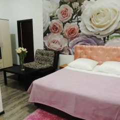 Hotel Zvezdnyi 3* Улучшенный номер с двуспальной кроватью фото 6