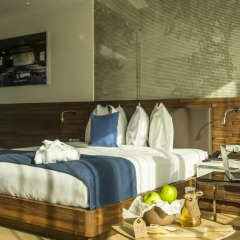 Radisson Collection Hotel, Old Mill Belgrade в номере