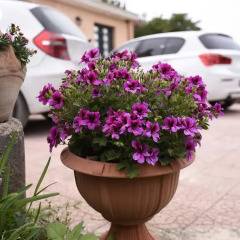 Отель La Casa Dei Sogni Сиракуза парковка
