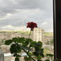 Отель Room in Apartment at Tigrana Metsa Армения, Ереван - отзывы, цены и фото номеров - забронировать отель Room in Apartment at Tigrana Metsa онлайн фото 5
