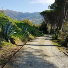 Отель Casa Vacanze Fiori Rosa Аулла приотельная территория