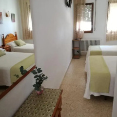 Отель Hostal Los Pinares Испания, Льорет-де-Мар - отзывы, цены и фото номеров - забронировать отель Hostal Los Pinares онлайн комната для гостей фото 3
