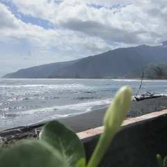 Отель Tahiti Surf Beach Paradise фото 2