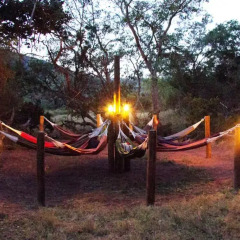 Отель Mashovhela Bush Lodge бассейн фото 2