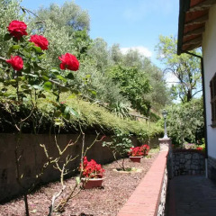 Отель La Collina del Melograno Синалунга