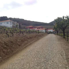 Отель Quinta dos Espinheiros фото 8