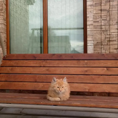Гостиница guest house Elizaveta сауна