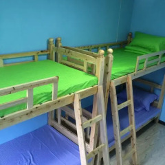 Chengdu Panda Baby Youth Hostel Кровать в общем номере с двухъярусной кроватью фото 2