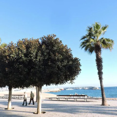 Отель HomeHolidaysRentals Apartamento Les Palmeres - Costa Brava Испания, Бланес - отзывы, цены и фото номеров - забронировать отель HomeHolidaysRentals Apartamento Les Palmeres - Costa Brava онлайн пляж