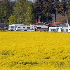 Отель Gullbrannagården парковка