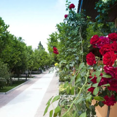 Hotel Ozlem Garden 3* Бунгало с различными типами кроватей