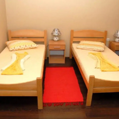 Отель Guest House Vila Bor Стандартный номер фото 4