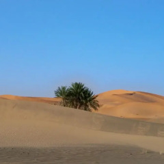 Отель Kasbah Tamariste Марокко, Мерзуга - отзывы, цены и фото номеров - забронировать отель Kasbah Tamariste онлайн фото 6