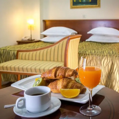 Hotel President Split 4* Номер Делюкс с различными типами кроватей фото 14