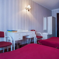 Отель Ecoland Boutique SPA 3* Стандартный номер с двуспальной кроватью фото 10