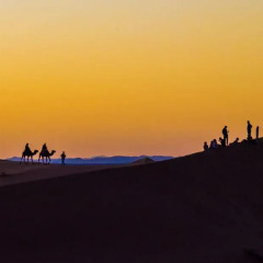 Отель Bivouac Sahara Relax Марокко, Загора - отзывы, цены и фото номеров - забронировать отель Bivouac Sahara Relax онлайн приотельная территория