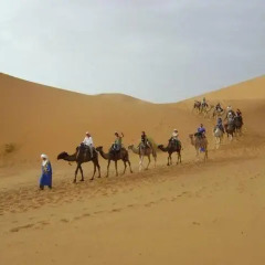 Отель Bivouac Morocco Safari Tours Марокко, Мерзуга - отзывы, цены и фото номеров - забронировать отель Bivouac Morocco Safari Tours онлайн спортивное сооружение