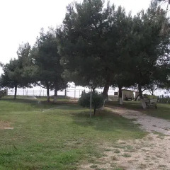 Отель Sapfo Beach Studios Ситония фото 2
