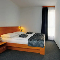 Hotel Delminivm 3* Стандартный номер с разными типами кроватей