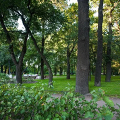 Гостиница Life Saint-Petersburg фото 3