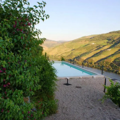 Отель Quinta da Veiga 4* Стандартный номер