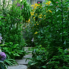 Отель Peking Garden Hotel Китай, Пекин - отзывы, цены и фото номеров - забронировать отель Peking Garden Hotel онлайн фото 11