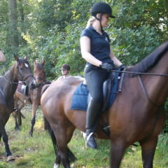 Отель Horsetellerie Rheezerveen 3* Коттедж с различными типами кроватей фото 6