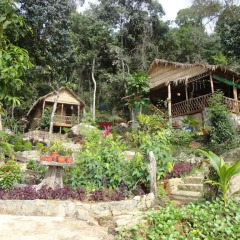 Отель Ataman Resort Камбоджа, Ко-Уэн - отзывы, цены и фото номеров - забронировать отель Ataman Resort онлайн фото 3
