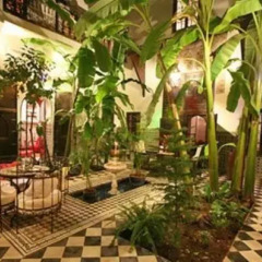 Отель Riad Darmouassine Марокко, Марракеш - отзывы, цены и фото номеров - забронировать отель Riad Darmouassine онлайн фото 5