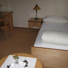 Hotel Zlaty Lev 4* Стандартный номер